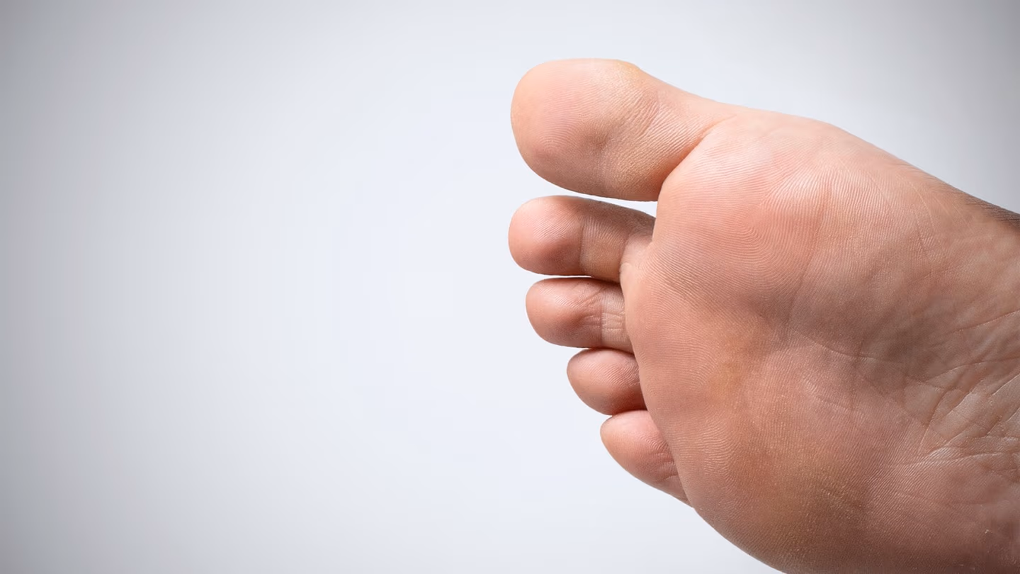 f4963595226443eecba773a7cc9f4eb2